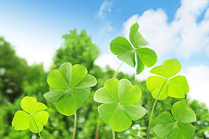 事業所案内のイメージ